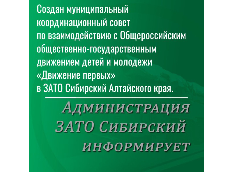 Создан координационный совет по взаимодействию с «Движением первых».