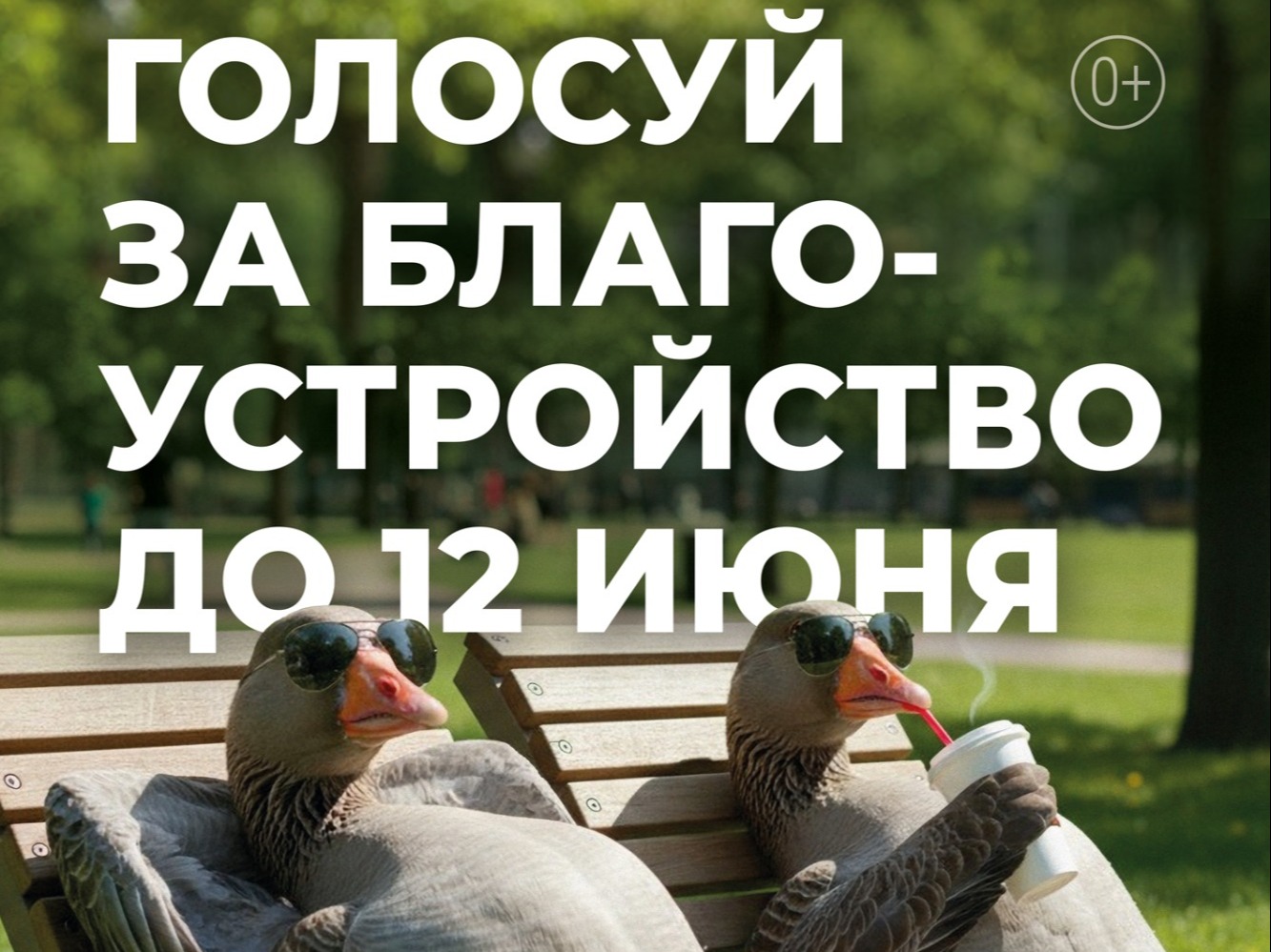 Кто лидер голосования на данный момент?.